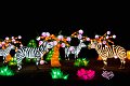 China Light africa by utrecht rotterdam arnhem tilburg antwerpen zoo lichtfestival licht festival event events evenement evenementen lightfestival glow eindhoven chinese taiyi